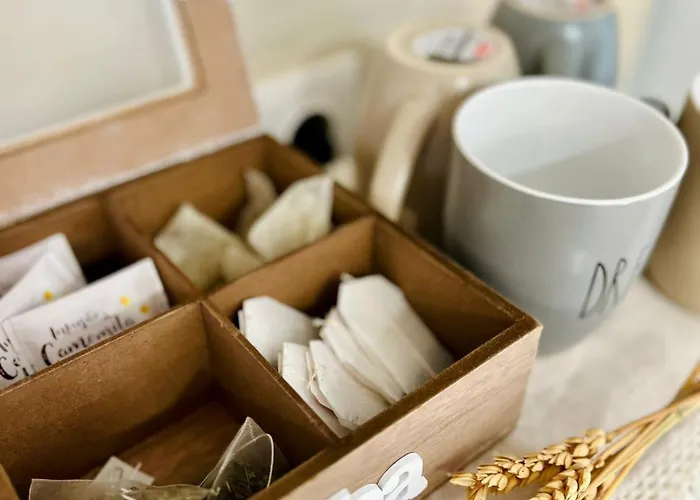 아파트 Casa Do Castro 바라간카